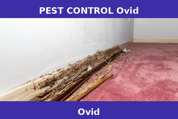 PEST CONTROL Ovid